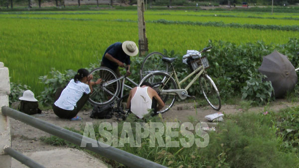 90年代に日本の中古品が入ってきて以来、自転車は爆発的に普及。それに伴い修理の仕事が急増した。（2008年8月平壌市郊外　チャン・ジョンギル撮影）