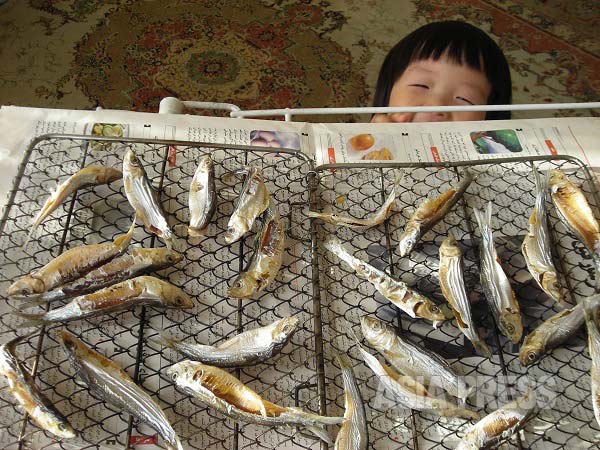 ペルシャ湾産の謎の小魚で妻がこしらえた干物。あぶって食べると美味だった。