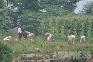 北朝鮮最新写真リポート (1)