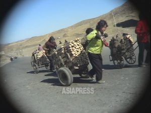 <北朝鮮> 水害被害を取材する 1