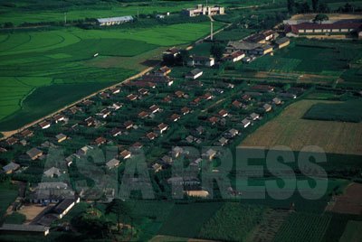 両江道の協同農場。住宅の周りに生い茂っているのは、カボチャや豆、キュウリ、トウモロコシなど、自留地に自己消費分として植えられた作物であったが、農場での共同耕作よりずっと生産性が高かった。農民市場に売って現金化できたからである。（1993年7月　石丸次郎撮影）