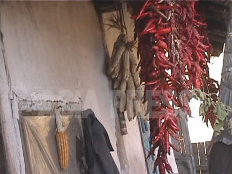種トウモロコシとキムチ用の唐辛子の束 どの家の軒先にも収穫物が吊るされるのは初秋の風景。