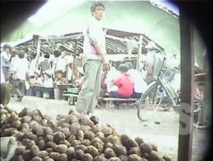 「ジャガイモも米だ」［ことば］