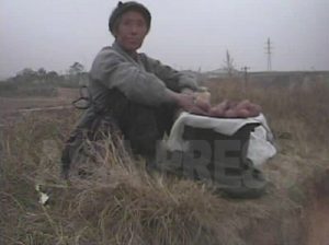 最新報告 金正日「異変発生」後の北朝鮮(3)-3