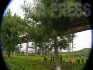 スクープ！　廃墟となった 巨大コンビナートを撮影　４