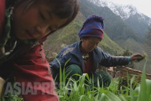 ビルマ最北の村へ―知られざる人びとの暮らし(7)宇田有三