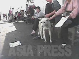 シリーズ　北朝鮮の市場経済（２）