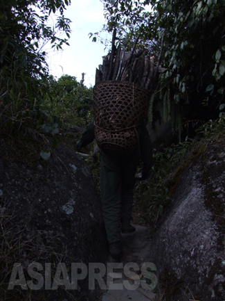 プータオ以北の人びとは、狩猟で生計を立てている人が多い。日が暮れる前、薪を背負って家路を急ぐラワンの男性。