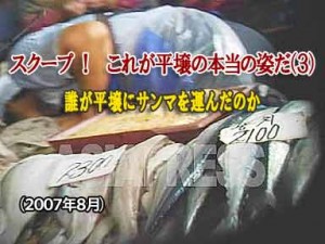 ［動画］スクープ！これが平壌の本当の姿だ（３） 誰が平壌にサンマを運んだのか