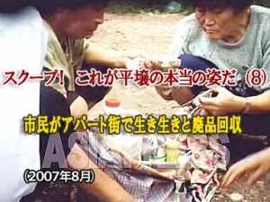 【動画】スクープ!これが平壌の本当の姿だ(8) 市民がアパート街で生き生きと廃品回収