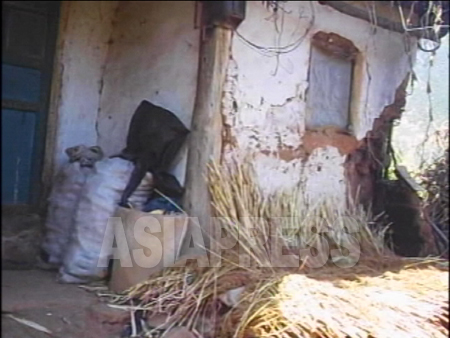 （参考写真）黄海北道の農家の玄関先。壁の補修もままならなず傷みが激しい。窓には風除けのビニールが張られている。2007年10月　李準（リ・ジュン）撮影