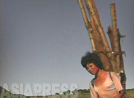 (参考写真)薪にする木を背負った女性。丸太は背丈以上の長さだ。薪を売れば商売にもなる。山から下りてきたところだ。2008年9月　黄海南道海州市郊外　撮影：沈義川（シム・ウィチョン）