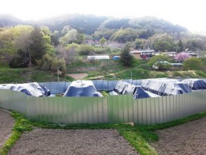 安全切り捨て「指定解除」〜続・福島県伊達市ルポ（上）［うずみ火］