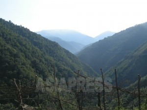 【連載】イランを好きですか？［大村一朗］～テヘラン、８年の家族滞在記～16