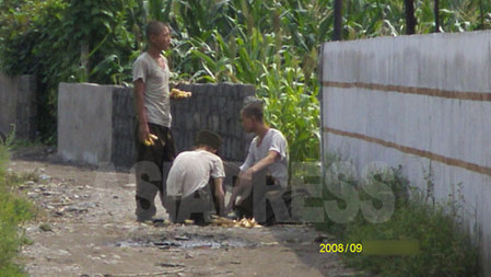 畑で盗んできたトウモロコシの皮を剥いている。2008年9月　平壌市郊外江東郡某所　撮影：チャン・ジョンギル
