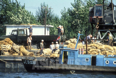 鴨緑江で荷役作業をする新義州の女性労働者たち。 93年7月 撮影:石丸次郎 (C)アジアプレス