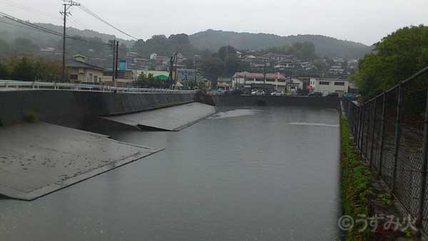 無処理の排水が流された百間排水口（熊本県水俣市で撮影：栗原佳子）