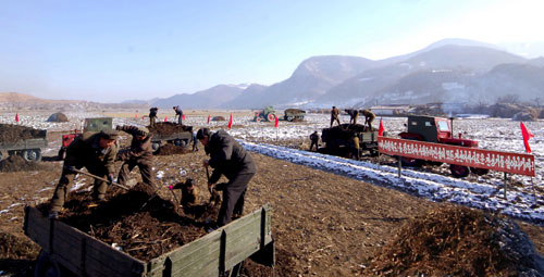 年明けの農作業準備のため、堆肥を運んでいる平安南道徳川市雲興農場の農場員たち（2013年12月23日、労働新聞より引用）