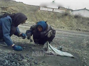 ＜写真・北朝鮮の暮らし＞民衆は焚きもの入手に四苦八苦