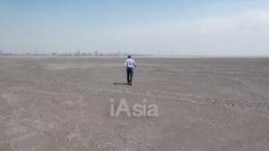 「歯が抜ける村」中国レアアース汚染の実態　下