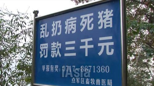 「病死した豚を捨てたら罰金3000元（約5万1000円）」と書かれた看板. 写真　2013年11月湖北省宜昌市