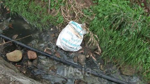 子豚の死骸が袋につめられて捨てられていた. 写真　2013年11月湖北省宜昌市