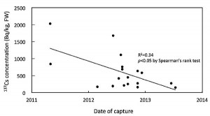 野生生物調査にみる放射能汚染(1)～現在も続く原発からの放出