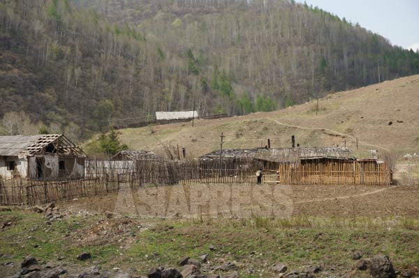 両江道の普天(ポチョン)郡にある革命戦跡地の山は、聖地として伐採厳禁となっていて木が生い茂るが、それ以外の場所ははげ山になっている。2014年5月　中国側から撮影(アジアプレス)