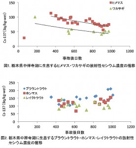 福島原発事故による放射性セシウム汚染3～濃度が低下しない淡水魚も存在