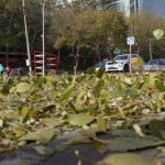 <北京秒写> 40　強風　宮崎紀秀