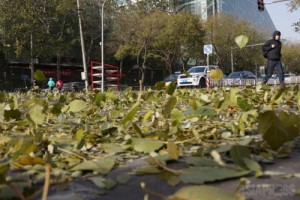 <北京秒写> 40　強風　宮崎紀秀