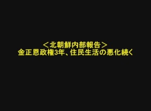 ＜音声公開＞北朝鮮住民は金正恩政権3年をどう見たか?