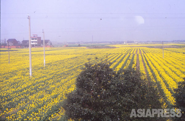 かつて日中戦争で戦場となった中国の農村地帯 撮影 吉田敏浩