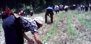 <動画・北朝鮮> 農村動員に不満を吐露する北朝鮮住民