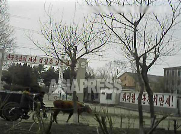 ある公共機関の入口に「先軍朝鮮の太陽金正恩将軍万歳!」「偉大な先軍政治万歳!」のスローガンが掲げられている。 2013年3月平安南道で チーム 「ミンドゥルレ」撮影