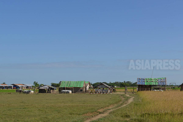 ロヒンギャ・ムスリムの難民キャンプ治安を担うのは警察だが、よく観察してみると、軍が駐屯しているのが分かる。（ラカイン州）撮影 宇田有三