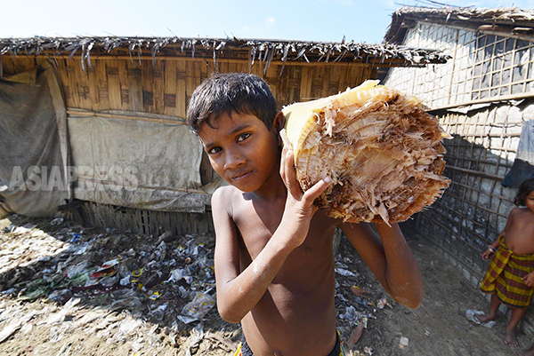 ロヒンギャ・ムスリムの難民キャンプ内の市場にバナナの幹を運ぶ男の子。（ラカイン州）撮影 宇田有三