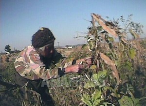 <動画・北朝鮮> 軍糧米の強制徴発に苦しむ都市住民たち