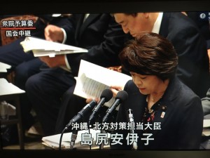 島尻沖縄担当相の献金問題、衆院委で追及 本人「問題なし」 安倍首相も擁護