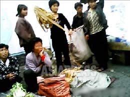 <写真シリーズ> 北朝鮮の暮らし