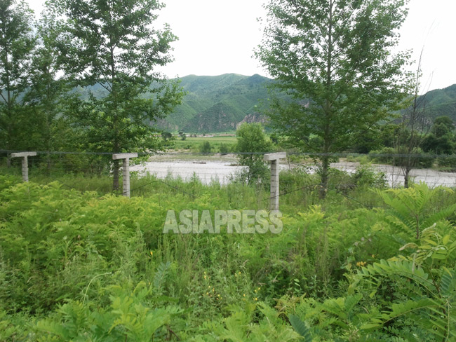 事件があったとされる仁渓里付近は鉄条網で覆われ越境は困難だ。2012年8月撮影アジアプレス