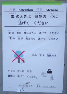 <「エグザイル」公演の落雷死亡事故> 会場管理団体が「雷聞こえたら逃げて」の看板設置か 被害者母驚愕、「どこに逃げろというの?」