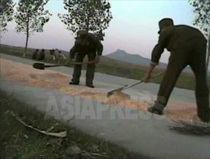 <北朝鮮内部>軍用食糧の供出を一部農民が拒否 燃料費なく米引き取り出来ぬ部隊も