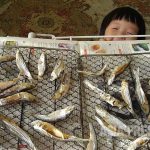 【連載】イランを好きですか？［大村一朗］～テヘラン、8年の家族滞在記～50　騒乱の中で（4）