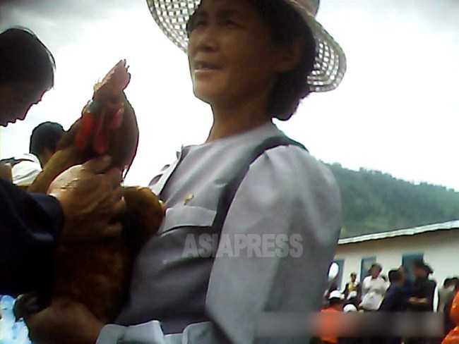 露天市場でこざっぱりした身なりで鶏を売る女性。2013年6月両江道にて撮影「ミンドゥルレ」(アジアプレス) 