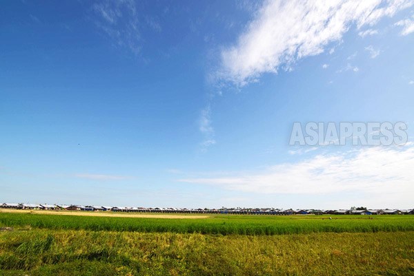 海岸線沿って広がる土地に、９カ所のロヒンギャ・ムスリムの難民キャンプがある。（ラカイン州にて撮影： 宇田有三）