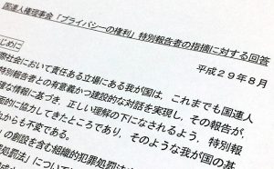 国連特別報告者は「批判もする友人」である(2)日本政府のダブルスタンダード  藤田早苗