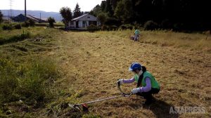 ＜福島・南相馬＞東日本大震災・被災地支援活動のいま～ボランティア体験を通して（上）　大村一朗