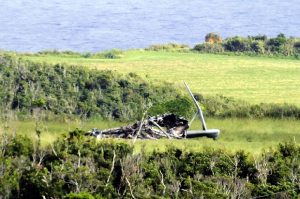 〈沖縄県東村高江〉語られなかった「米軍ヘリ墜落事故」1~「起こるべくして起きた」不安現実に(栗原佳子/新聞うずみ火)