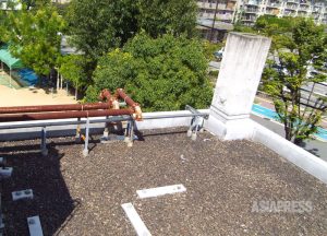 堺市がまたも無届けでアスベスト除去か 届け出期間後に「清掃」と称し作業